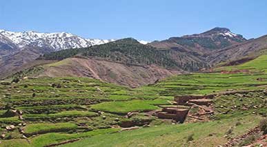 Full Day Tour Imlil Valley from Marrakech