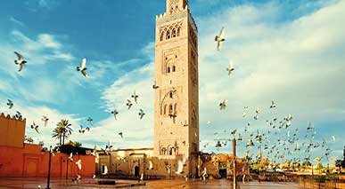 Marrakech All Day Sightseeing Tour